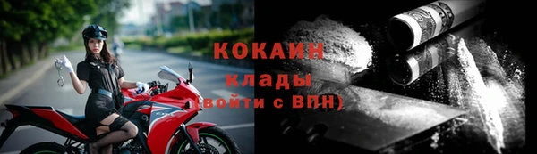 стаф Чита