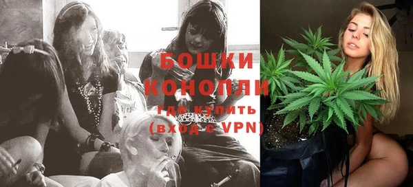 стаф Коряжма