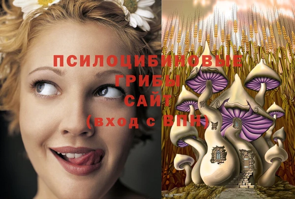 стаф Коряжма