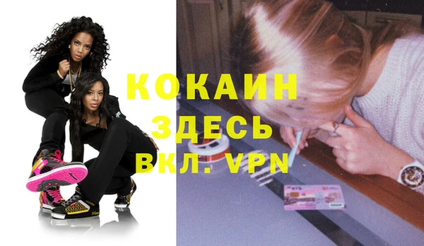 стаф Коряжма