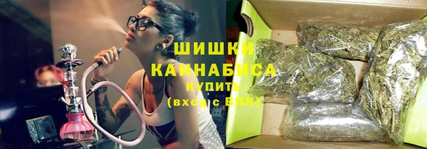 стаф Коряжма