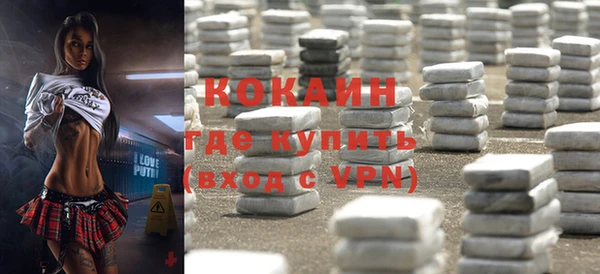 стаф Коряжма