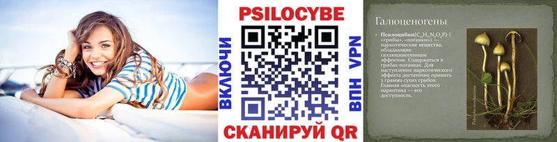 наркота  darknet состав  Галлюциногенные грибы MAGIC MUSHROOMS  Талдом 